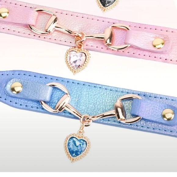 Other - Blue Heart Charm Pet Collar